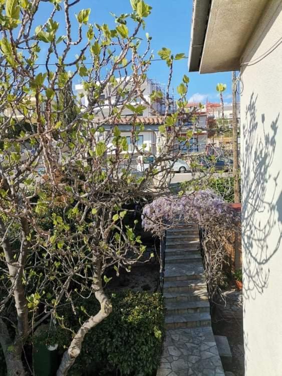 נובי ווינודולסקי Guest House Sunce מראה חיצוני תמונה