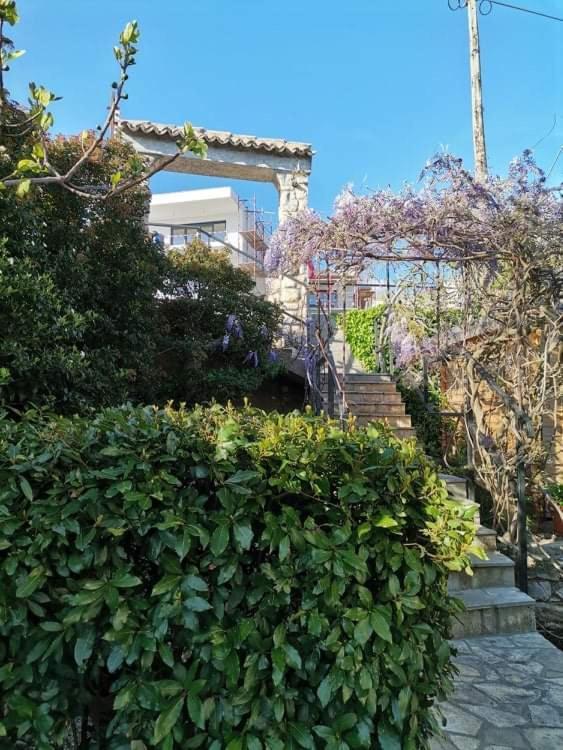 נובי ווינודולסקי Guest House Sunce מראה חיצוני תמונה